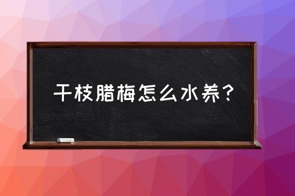 腊梅用什么花瓶插好看 干枝腊梅怎么水养？