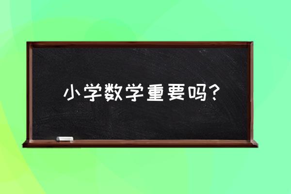 除数是一位数的除法单元复习教案 小学数学重要吗？