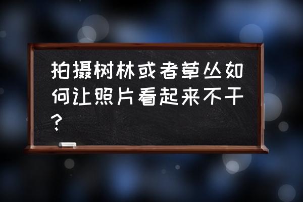 风景照片后期怎么虚化背景 拍摄树林或者草丛如何让照片看起来不干？