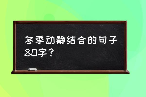 描写打雪仗动作的优美词句 冬季动静结合的句子80字？