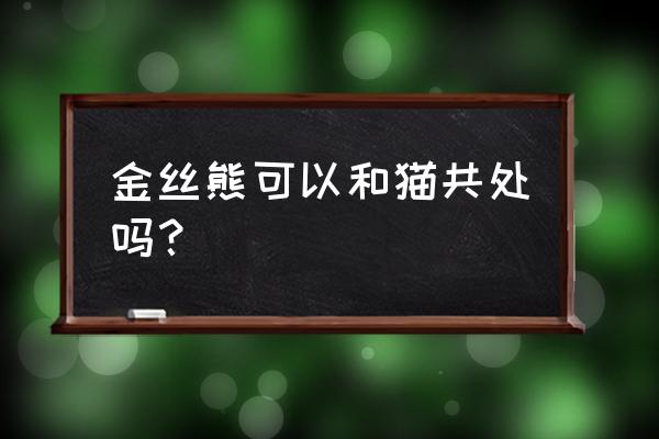 小白鼠跟猫咪成了好朋友 金丝熊可以和猫共处吗？