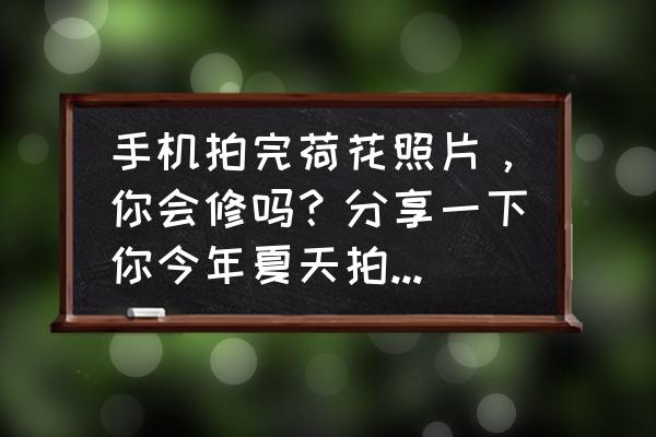 拍摄荷花后期处理技巧 手机拍完荷花照片，你会修吗？分享一下你今年夏天拍的荷花吧？