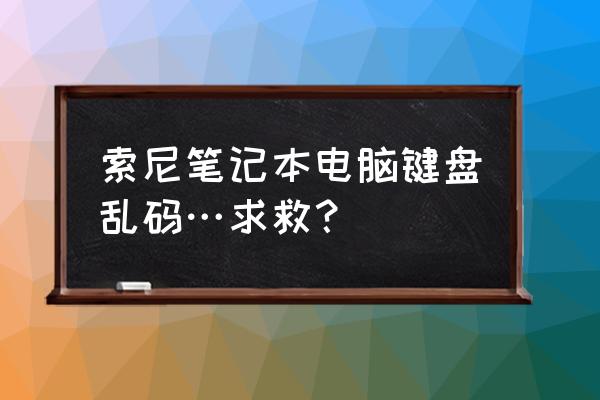 笔记本电脑键盘乱码怎么处理 索尼笔记本电脑键盘乱码…求救？