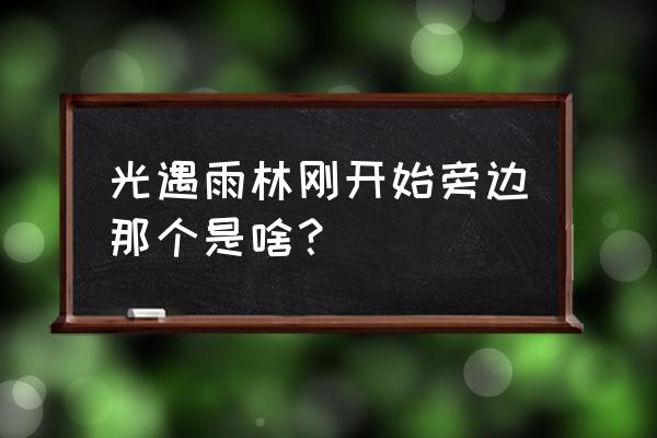 光遇小溪边的石室任务怎么做 光遇雨林刚开始旁边那个是啥？