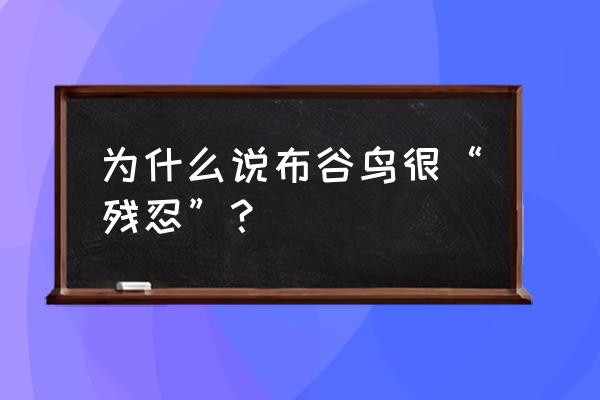 老鸟的五大忠告 为什么说布谷鸟很“残忍”？