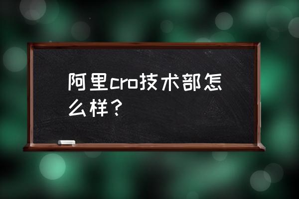 阿里数据中台解决方案 阿里cro技术部怎么样？