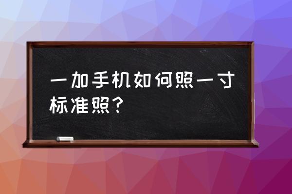 怎么下载拍一寸照片的相机 一加手机如何照一寸标准照？