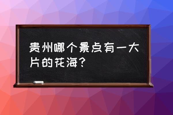 桐梓必去的五个景点介绍 贵州哪个景点有一大片的花海？