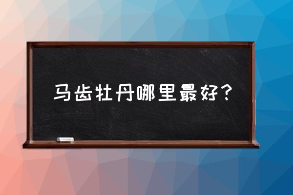 菏泽牡丹22年的最佳观赏时间 马齿牡丹哪里最好？