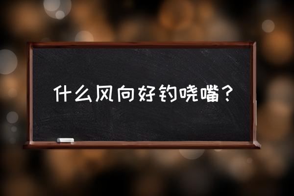 冬季路亚翘嘴技巧怎么选标点 什么风向好钓哓嘴？