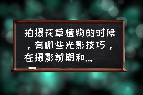 灯光拍摄技巧 拍摄花草植物的时候，有哪些光影技巧，在摄影前期和后期上要注意啥？
