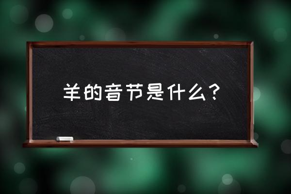 绵羊怎么写 羊的音节是什么？