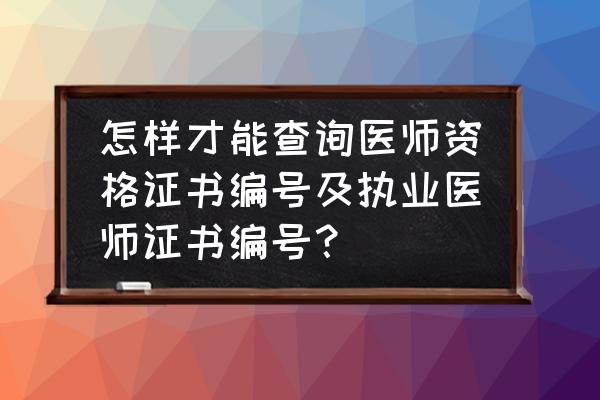 在哪里查询医生的执业信息 怎样才能查询医师资格证书编号及执业医师证书编号？