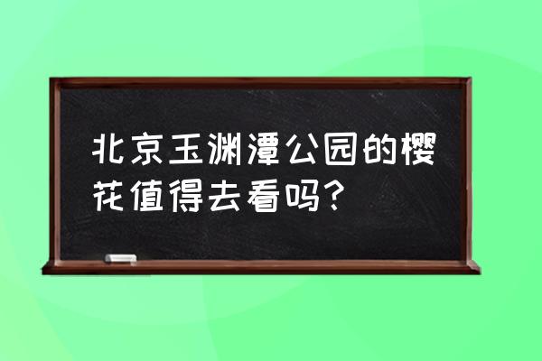 北京哪里能看樱花 北京玉渊潭公园的樱花值得去看吗？