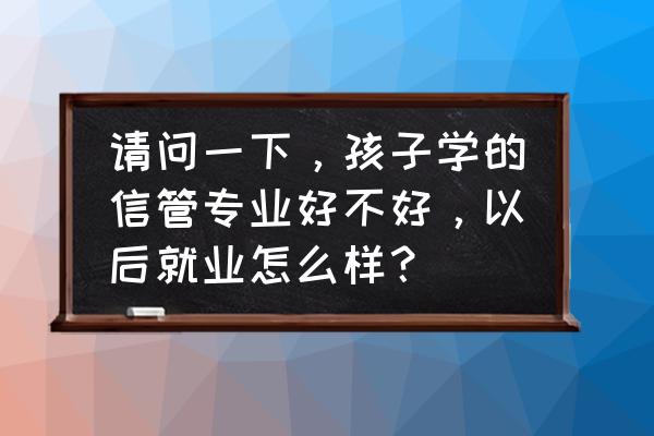 信息技术与教育教学现状 请问一下，孩子学的信管专业好不好，以后就业怎么样？