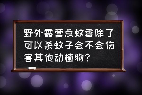 夜晚户外露营有虫子怎么办 野外露营点蚊香除了可以杀蚊子会不会伤害其他动植物？