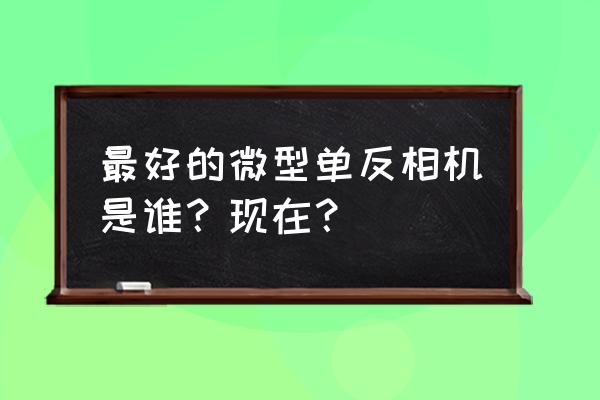 迷你单反相机品牌排行榜前十名 最好的微型单反相机是谁？现在？