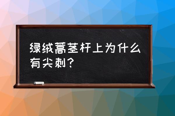 绿绒蒿是国家保护的植物吗 绿绒蒿茎杆上为什么有尖刺？