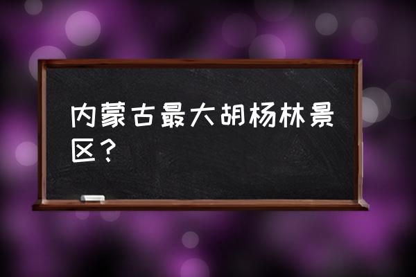 额济纳旗胡杨林最值得去的地方 内蒙古最大胡杨林景区？