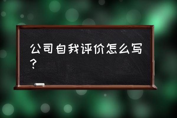 自我工作表现及自我评价 公司自我评价怎么写？