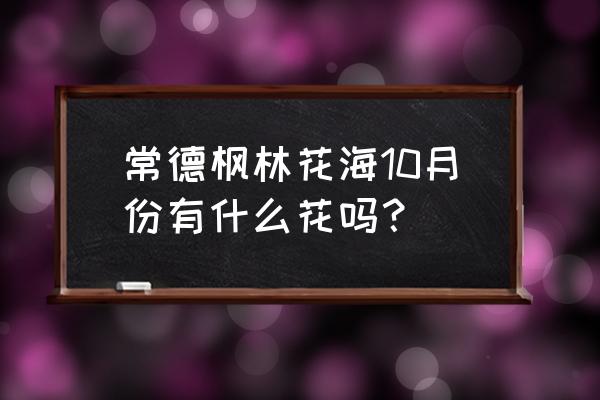 粉黛子现在还有花吗 常德枫林花海10月份有什么花吗？