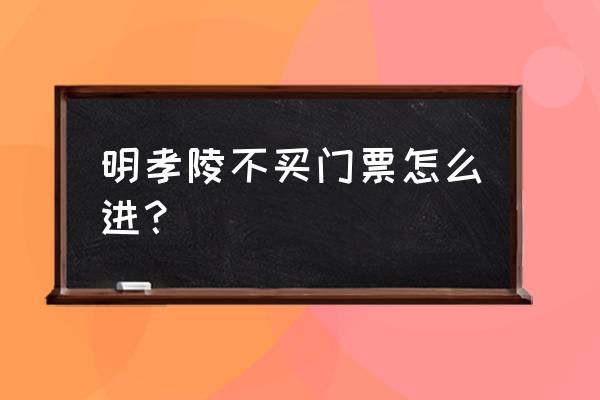 明孝陵门票免费时间段 明孝陵不买门票怎么进？