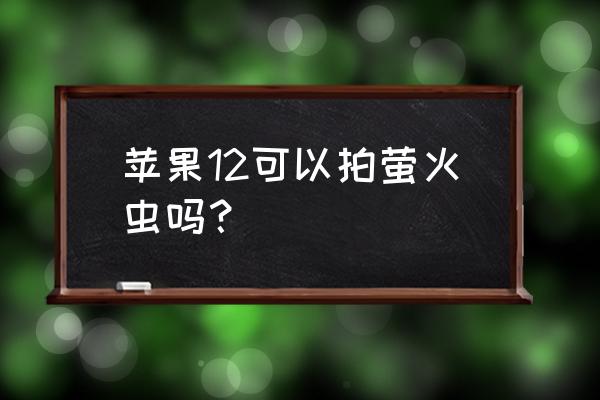 相机萤火虫怎么拍摄 苹果12可以拍萤火虫吗？