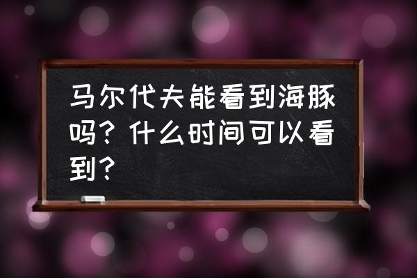 马尔代夫自由行最佳攻略 马尔代夫能看到海豚吗？什么时间可以看到？