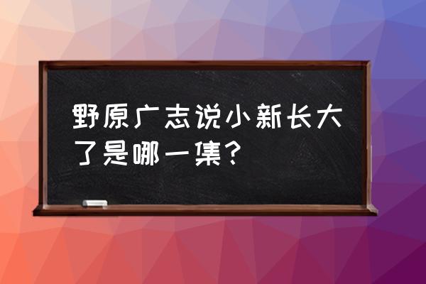 蜡笔小新中野原广志有什么特征 野原广志说小新长大了是哪一集？