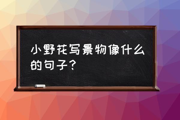 草地上的野花像什么补充句子 小野花写景物像什么的句子？