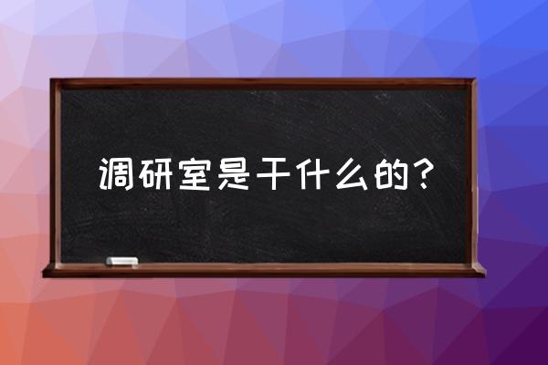 参加调研怎样发言 调研室是干什么的？