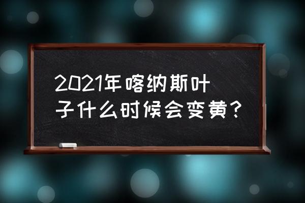 喀纳斯秋季旅游最佳时间是几月 2021年喀纳斯叶子什么时候会变黄？