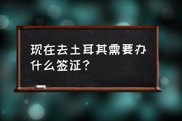 土耳其签证中心官网入口 现在去土耳其需要办什么签证？