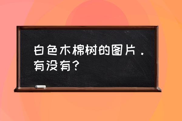 赞美木棉的图片大全 白色木棉树的图片。有没有？